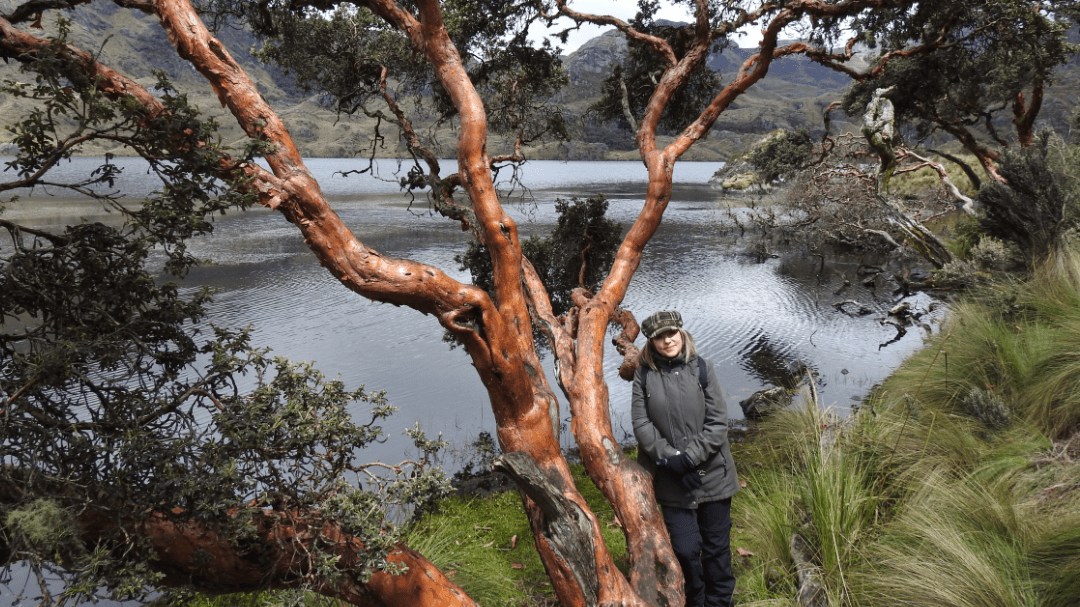 7 Compelling Reasons to Visit Ecuador