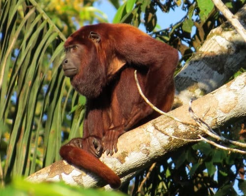 A view across ranch land toward Laguna Seca and the mountain valley beyond
