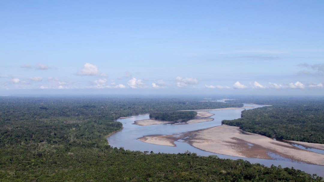 An aerial view of the Napo River passing through immense stretches of pristine Amazon rainforest.
