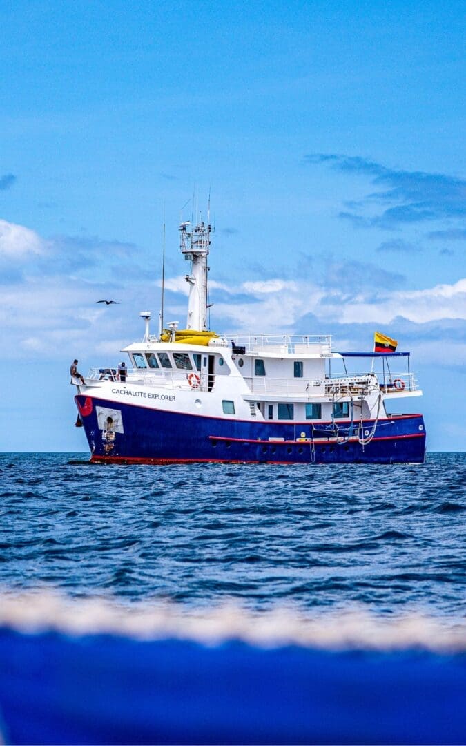 Cachelote Explorer, a small-group yacht operating in the Galapagos Islands.